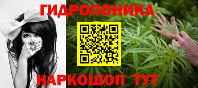 каннабис Ачхой-Мартан