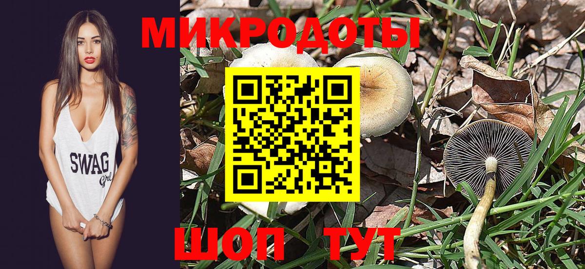 Галлюциногенные грибы Psilocybine cubensis Владимир